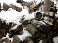 What Woods Are Safe to Burn in Fireplaces?