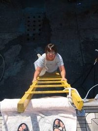 Build a Ladder