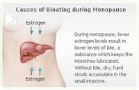 Causes of Bloating in Menopause