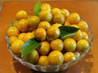What Is a Calamondin?