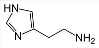 What Is Histamine?