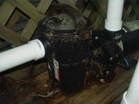 Connect a Pump to a Swimming Pool