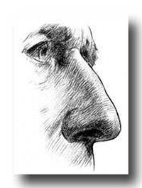 Fungal Sinusitis Symptoms