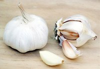 Fresh garlic