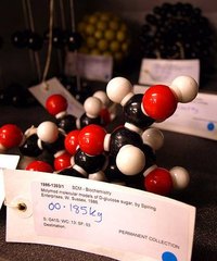 What Are the Properties of Glucose?
