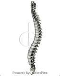 What Is Stenosis of the Spine?