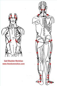 Gall bladder meridian