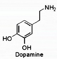 Chemical structure of dopamine, a neurotransmitter.