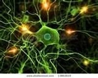Diabetic Nerve Pain Symptoms