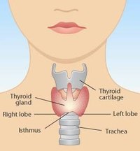 Thyroid Dysfunction