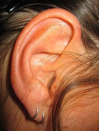 Treatments for Plugged Up Ears
