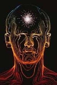 What Are the Body's Built in Mechanisms for Responding to Pain?