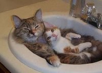 Paint a Marble Sink