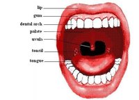 Angina Throat Symptoms
