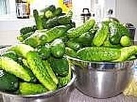Pickle cucumbers