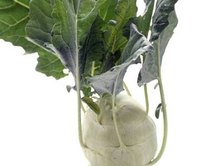 Kohlrabi Nutrition Information