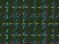 Hypothetical tartan - sett 15 green, 5 blue, 5 teal, 2 yellow, 15 green, 5 blue, 5 teal, 2 red