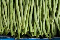 Freeze Fresh String Beans