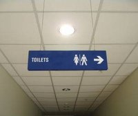 What Causes the Urge to Urinate?