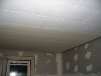 Paint Ceiling Tiles With Water Damage