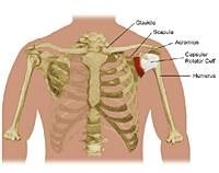 Symptoms of Tendonitis in the Shoulder