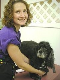 How Do Groomers Handle Aggressive Dogs?