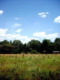 Vacant Land