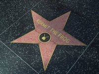Create Your Own Hollywood Star
