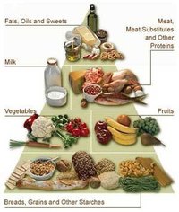 Foods on the Diabetes Food Pyramid are classified by the carbohydrate-to-protein ratio rather than by food classification.