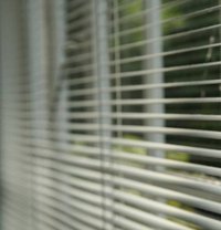 Venetian blinds.