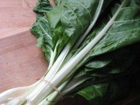 Care for a Rhubarb Plant