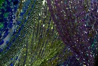 Bead Curtain