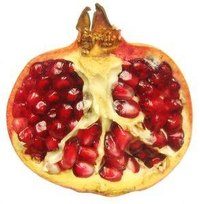 Fertilize Pomegranate Trees