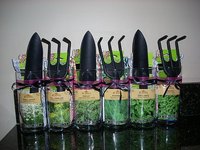 Shower Prizes