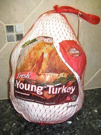 A fresh young turkey that was bought for Thanksgiving dinner.