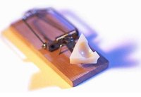 Recognize and Avoid Tyramines in Food