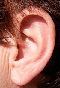An ear affected by tinnitus