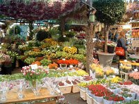 Floral Shop Basics