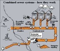 Side Effects of Sewer Gas Inhalation