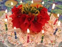 Birthday cake