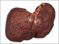 Early Alcoholic Liver Damage