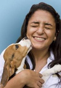 How to Get Rid of Fleas Without Getting Rid of Your Pet