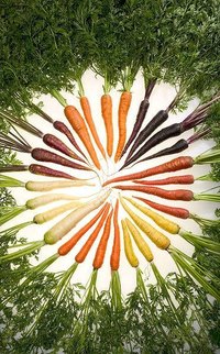 A Rainbow of Carrots