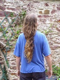 Human Hair Vs. Animal Hair