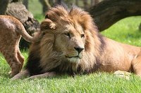 Columbus zoo
