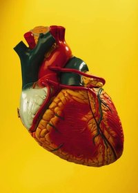 Treat Heart Palpitations