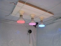 LED Plant Growing Lights