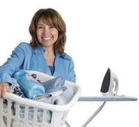 Set up an ironing business