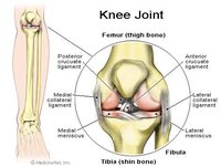 Knee Cartilage Pain