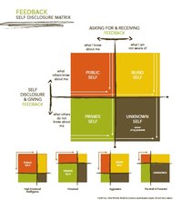 Use the Johari Window Model